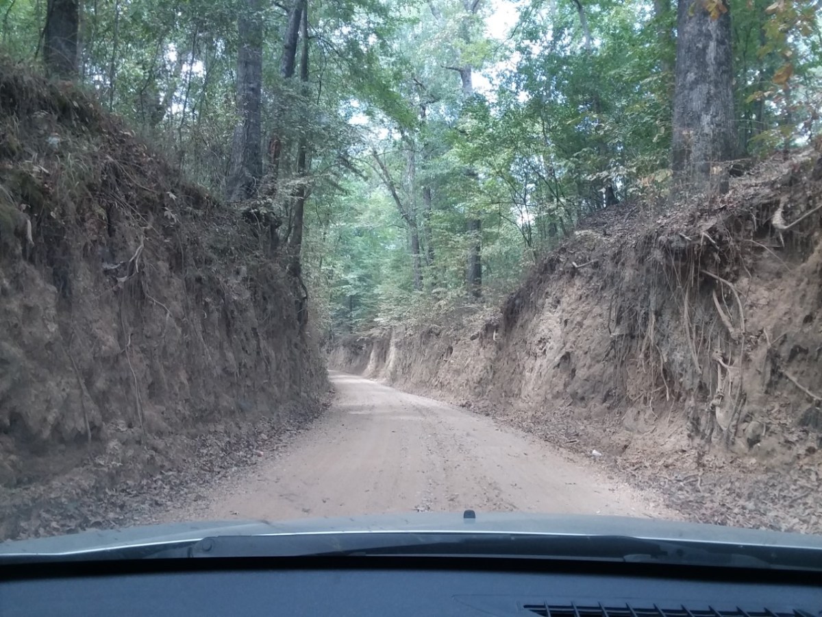 Civil War Diary of Pvt. George Painter – June 1,&nbsp;1863